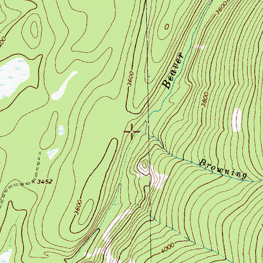 Topographic Map of Browning Creek, MT