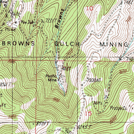 Topographic Map of Browns Gulch Mining District, MT