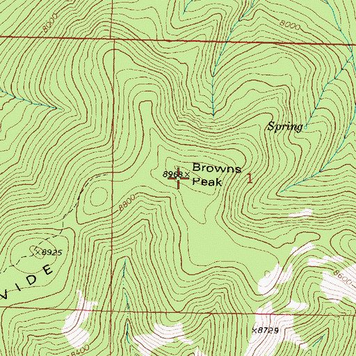 Topographic Map of Browns Peak, MT