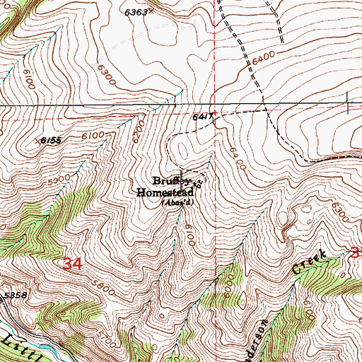 Topographic Map of Bruffey Homestead, MT