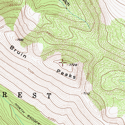 Topographic Map of Bruin Peaks, MT