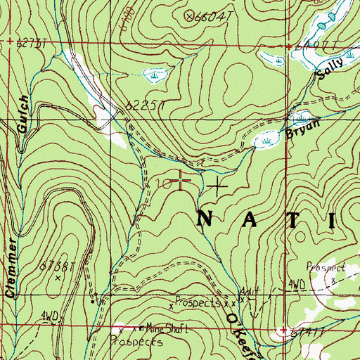 Topographic Map of Bryan Creek, MT