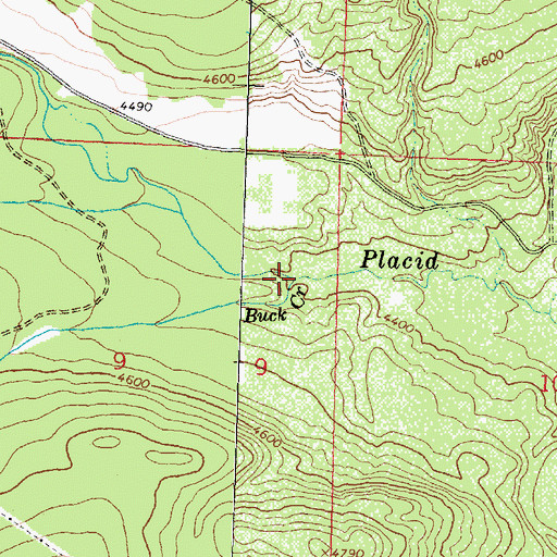 Topographic Map of Buck Creek, MT