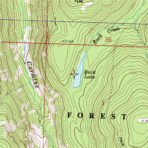 Topographic Map of Buck Lake, MT