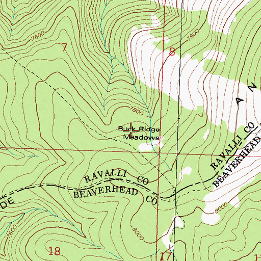 Topographic Map of Buck Ridge Meadows, MT