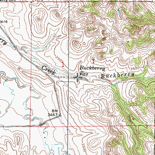 Topographic Map of Buckberry Reservoir, MT