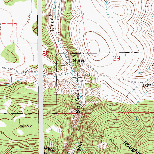 Topographic Map of Buffalo Canyon, MT