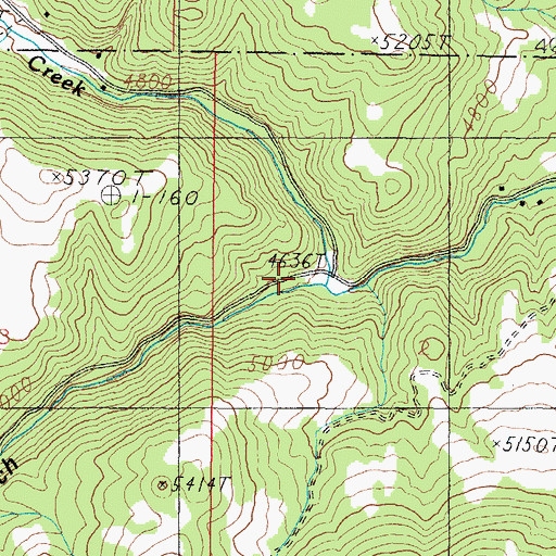 Topographic Map of Buffalo Creek, MT