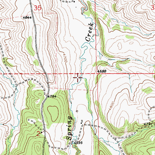 Topographic Map of Buffalo Creek, MT