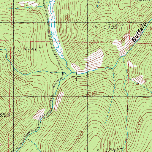 Topographic Map of Buffalo Gulch, MT