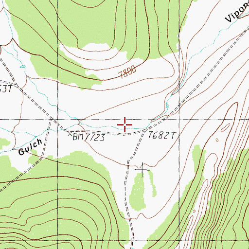 Topographic Map of Buffalo Head Gulch, MT