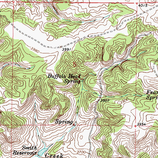 Topographic Map of Buffalo Head Spring, MT