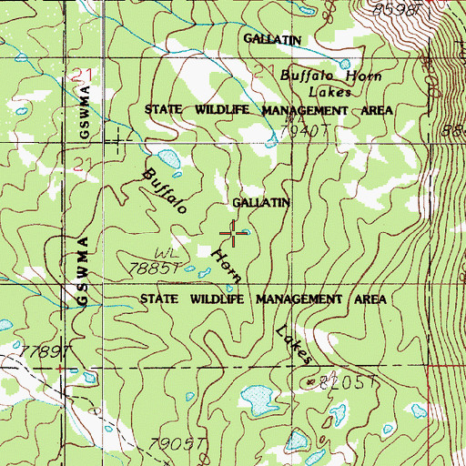 Topographic Map of Buffalo Horn Lakes, MT