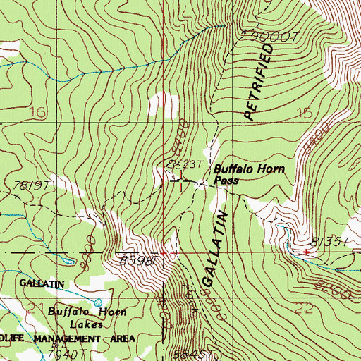 Topographic Map of Buffalo Horn Pass, MT