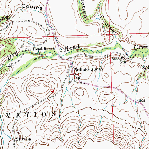 Topographic Map of Buffalo Jump, MT