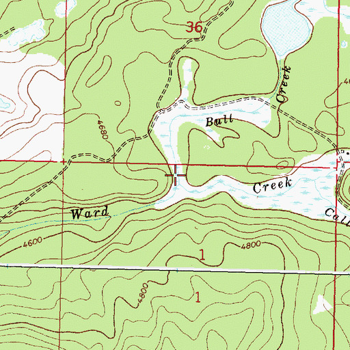 Topographic Map of Bull Creek, MT