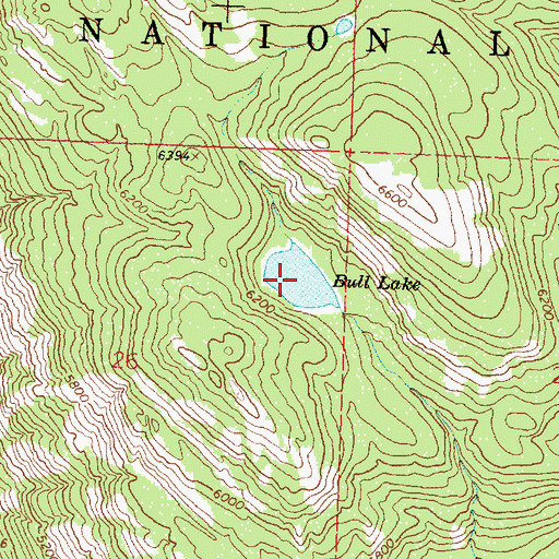 Topographic Map of Bull Lake, MT