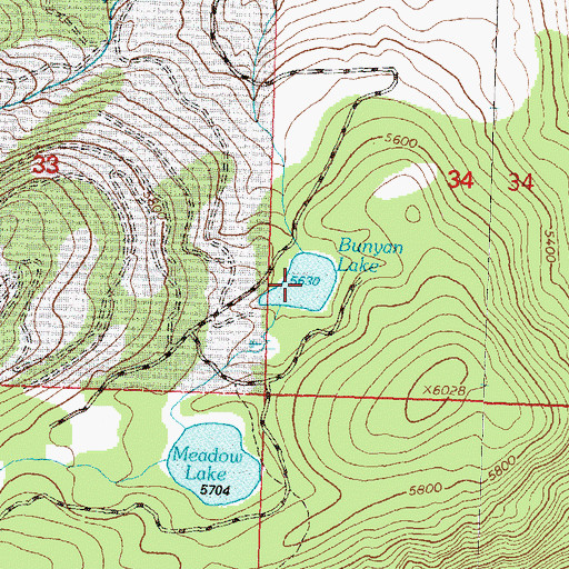 Topographic Map of Bunyan Lake, MT