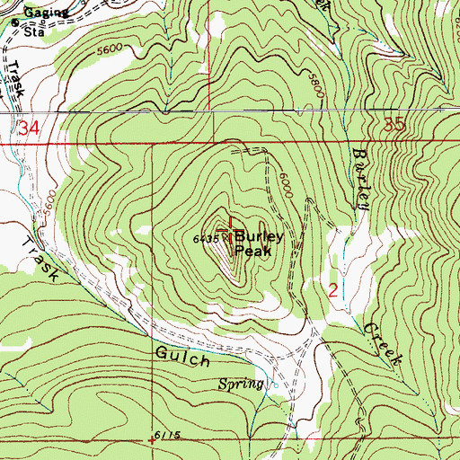 Topographic Map of Burley Peak, MT