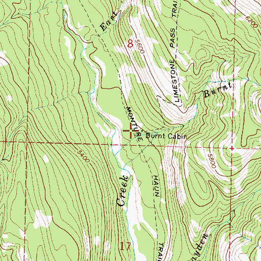 Topographic Map of Burnt Cabin, MT