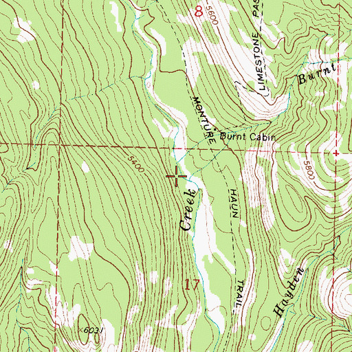 Topographic Map of Burnt Cabin Creek, MT