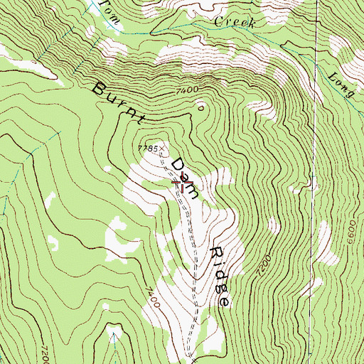 Topographic Map of Burnt Dam Ridge, MT