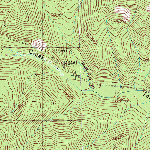 Topographic Map of Burnt Flats Creek, MT