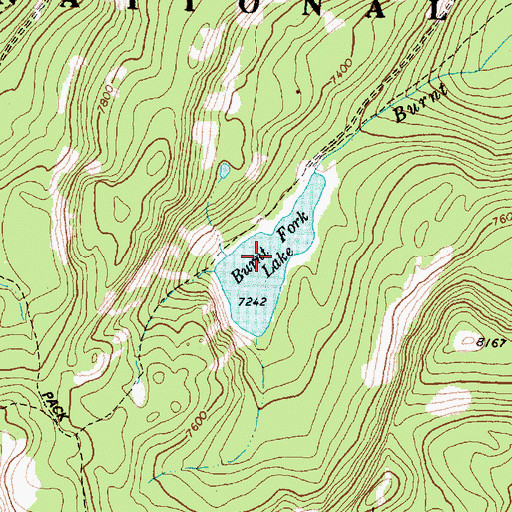 Topographic Map of Burnt Fork Lake, MT
