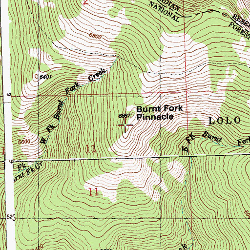 Topographic Map of Burnt Fork Pinnacle, MT
