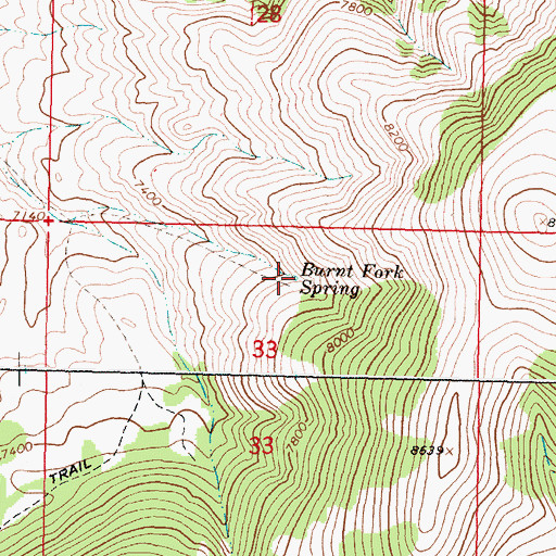 Topographic Map of Burnt Fork Spring, MT