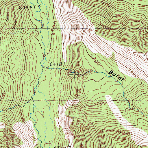 Topographic Map of Burnt Gulch, MT