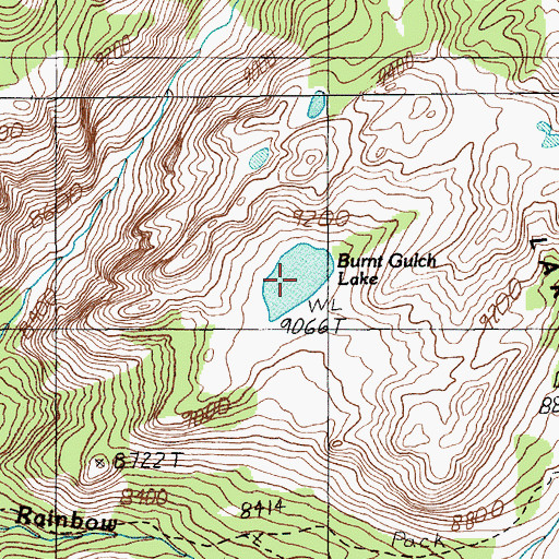 Topographic Map of Burnt Gulch Lake, MT