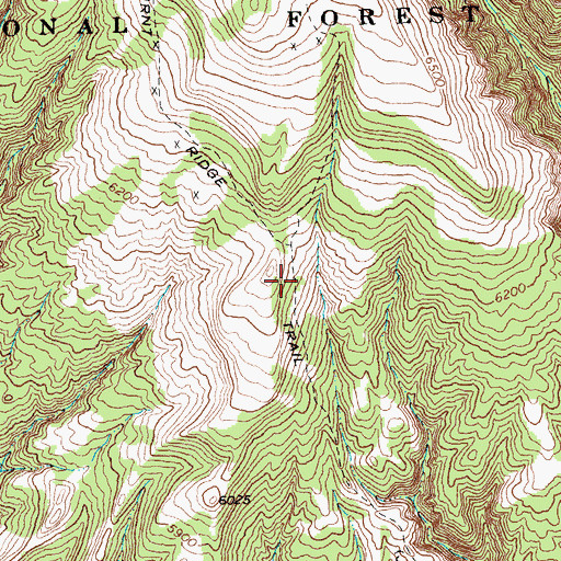 Topographic Map of Burnt Ridge Trail, MT