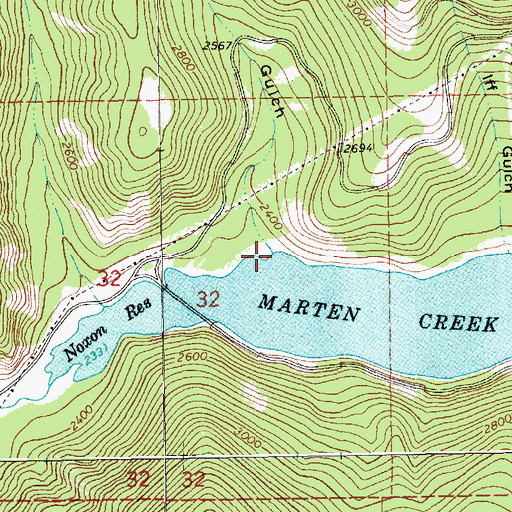 Topographic Map of Burr Gulch, MT