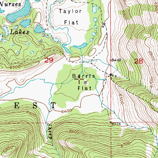 Topographic Map of Burrls Flat, MT