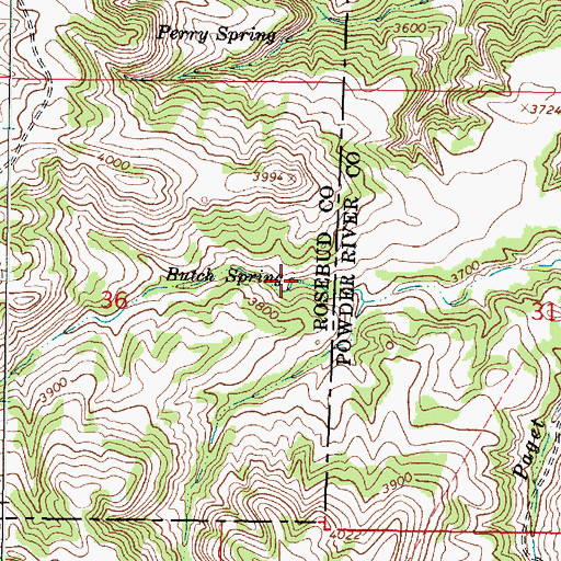 Topographic Map of Butch Spring, MT