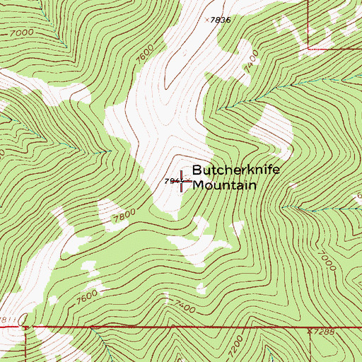 Topographic Map of Butcherknife Mountain, MT
