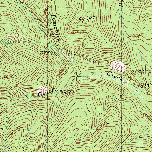 Topographic Map of Buzzard Gulch, MT