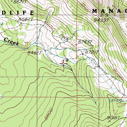 Topographic Map of Cabin Creek Ranger Station, MT