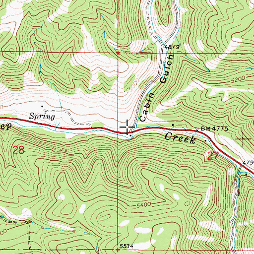 Topographic Map of Cabin Gulch, MT