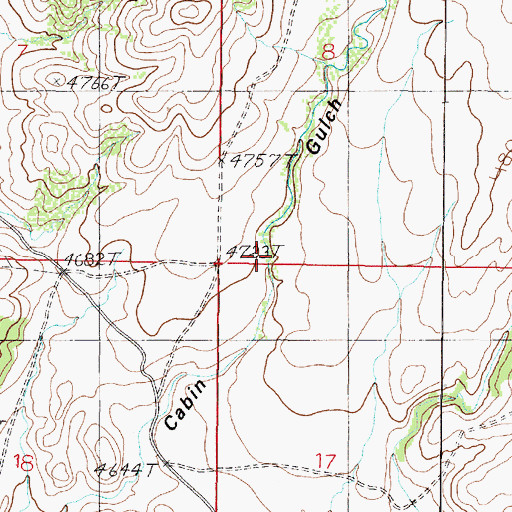 Topographic Map of Cabin Gulch, MT