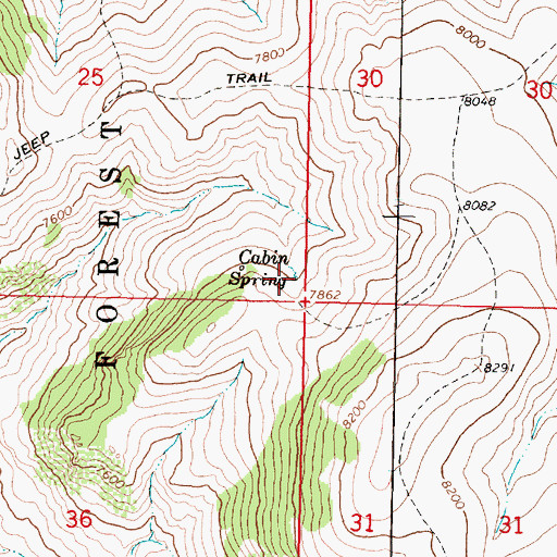 Topographic Map of Cabin Spring, MT
