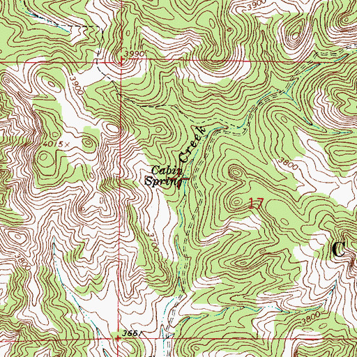 Topographic Map of Cabin Spring, MT