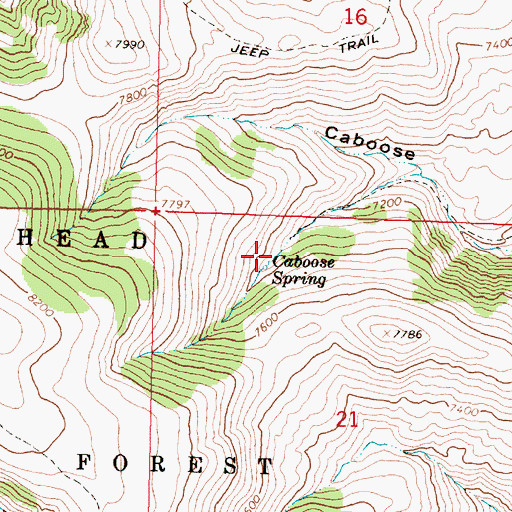 Topographic Map of Caboose Spring, MT