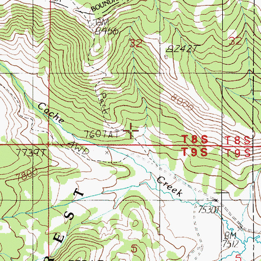 Topographic Map of Cache Creek Ranger Station, MT
