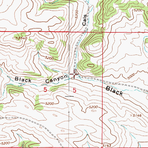 Topographic Map of Cals Gulch, MT