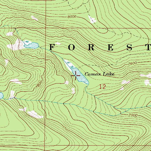 Topographic Map of Camas Lake, MT