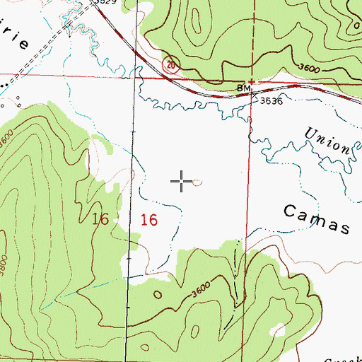Topographic Map of Camas Prairie, MT