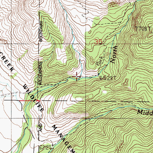 Topographic Map of Cameron Creek, MT