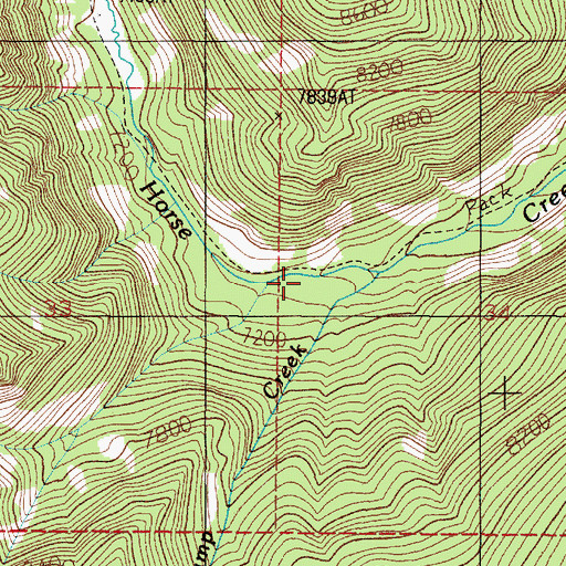 Topographic Map of Camp Creek, MT